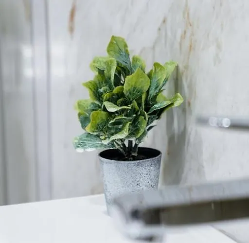 Guestready - Blissful Getaway In *